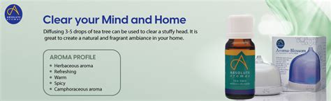 Absolute Aromas Tea Tree Essential Oil 10ml - 100% Pure, Natural ...