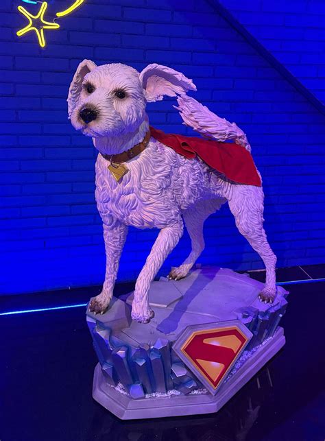 Get a Close-Up Look at Supergirl's Costume From the 2026 DC Movie ...