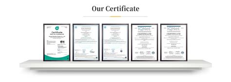 Company Overview - Hangzhou Chengxi Network Technology Co., Ltd.