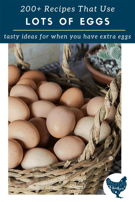 recipes that use lot of eggs