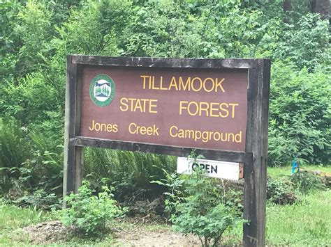 Jones Creek Camping | Tillamook, Oregon
