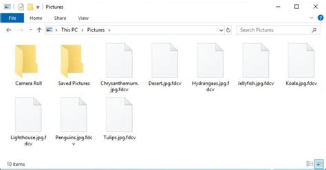 Image result for Recover Fdcv File