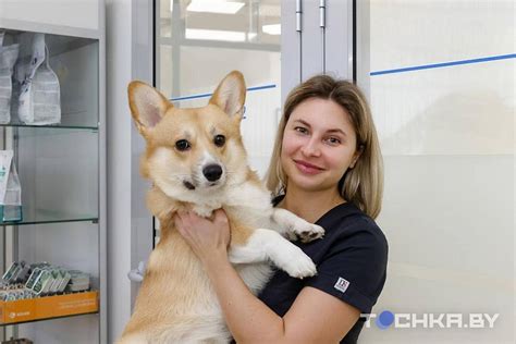 Истории ветеринаров, спасших жизни многим питомцам