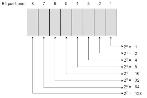 Image result for 8-Bit IP Address