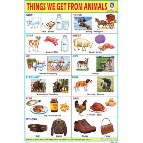 THINGS WE GET FROM ANIMALS CHART SIZE 12X18 (INCHS) 300GSM ARTCARD