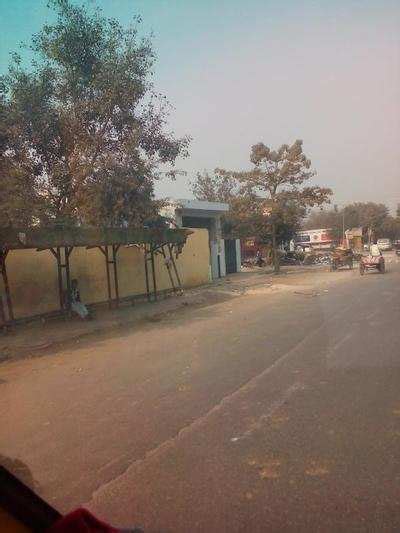 Bus stops in a state of ruin - Times of India