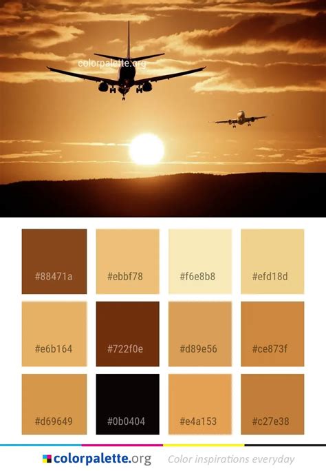 Co-Pilot Color Scheme 的图像结果