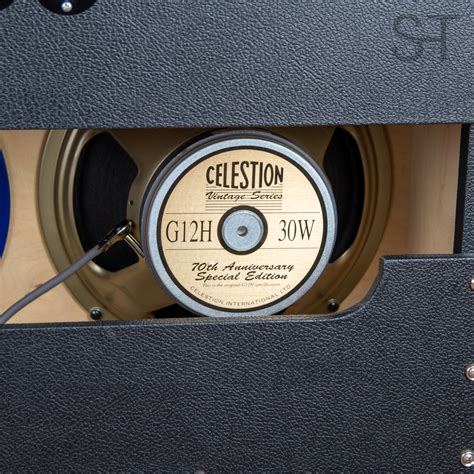 Divided By 13 RSA 31 Head + matching 2x12 Cabinet – String Taste