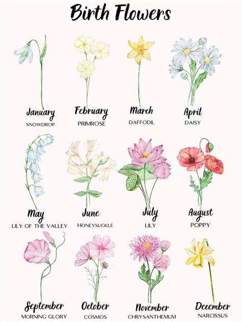 Birth Flower Family Bouquet, Birth Month Flower Print, Custom Poster ...