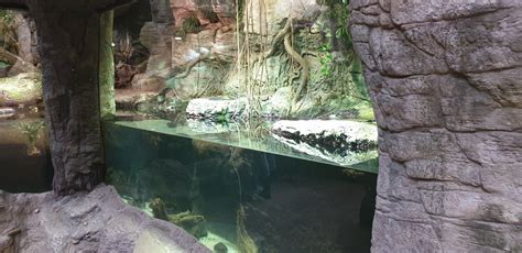 Setting Up Python Enclosure 的图像结果