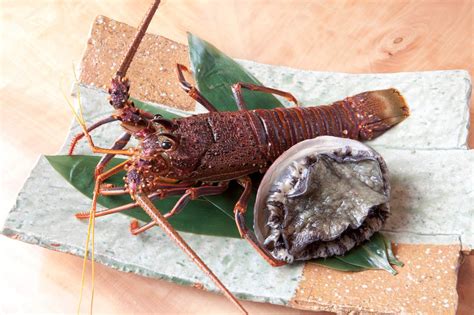 Ginza, Wagyu Teppanyaki Ginza Hotaru Tokyo - Klook India