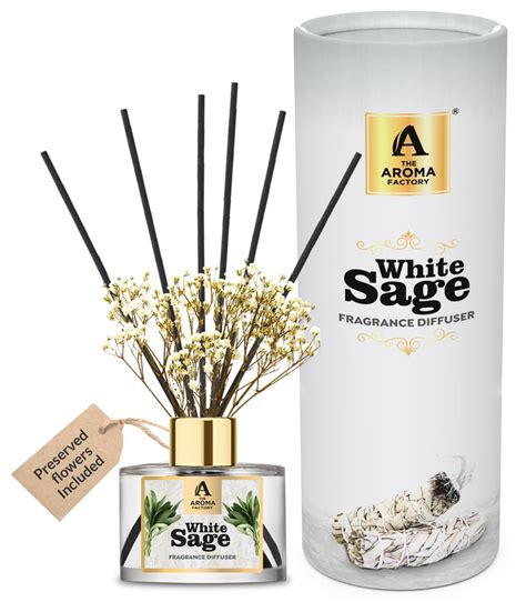 The Aroma Factory Fragrance Reed Diffuser Glass Set with Essential Oil ...