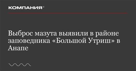Выброс мазута выявили в районе заповедника «Большой Утриш» в Анапе ...