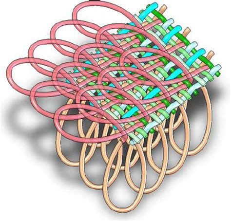 Image result for Parallel Threads Anatomy