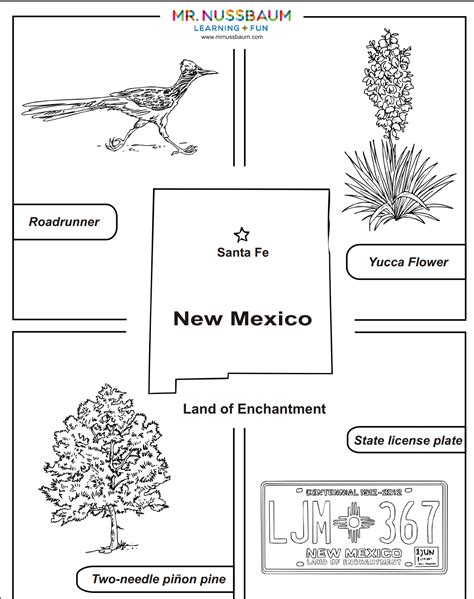 New mexico state symbols – Artofit