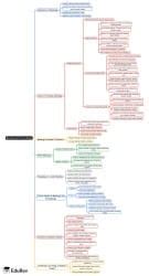 Mind Map: Meeting and proceedings - B Com PDF Download