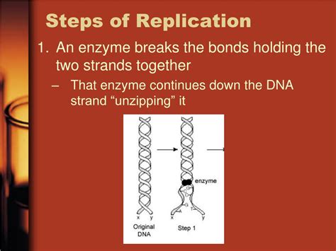 DNA Basic Unit 的图像结果