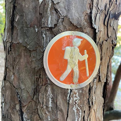 Friends Trail Loop Trailhead - All You Need to Know BEFORE You Go (2025)