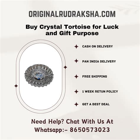 Buy Crystal Tortoise With Plate – Original Rudraksha