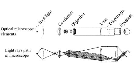 Optical Microscope Basics 的图像结果