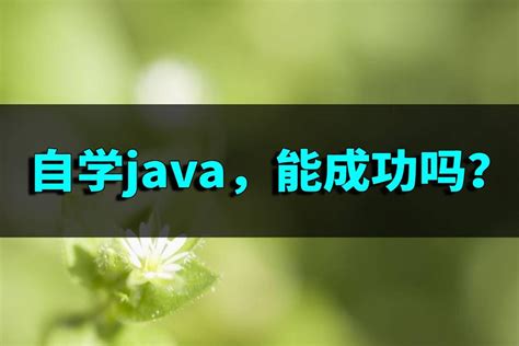 Java难学吗？自学Java难不难？ - 知乎