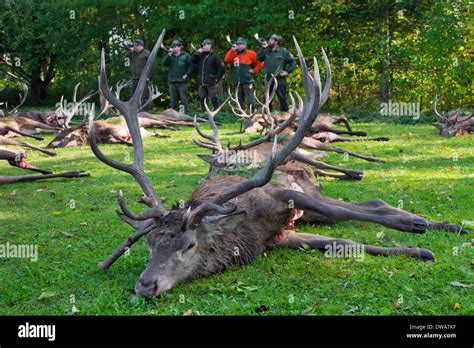 Hunters hi-res stock photography and images - Alamy