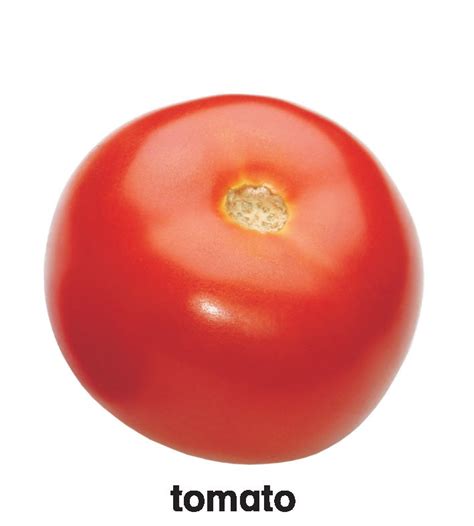 JoGenii | First Padded Board Book - Vegetables | Dreamland Publications