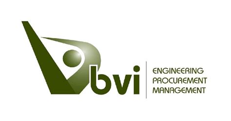 BVI Logo
