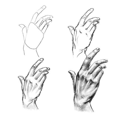 Image result for Hand Drawing Tutorial