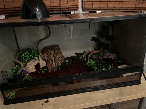 Image result for 15 Foot Python Enclosure