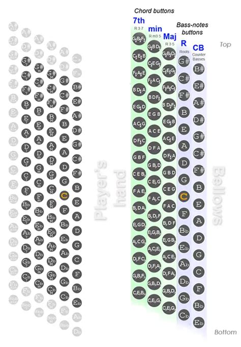 Accordion Finger Chart 的图像结果