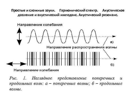Тема Звуковой анализатор 1 Простые и сложные звуки