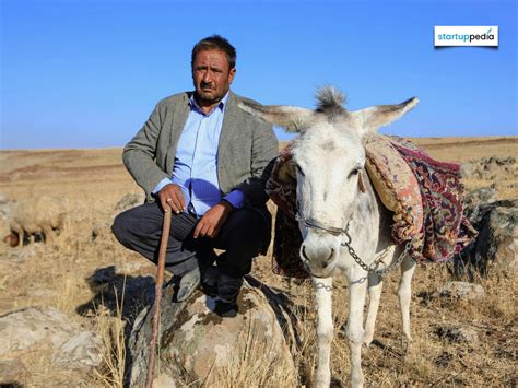 Government of India Offers Up to Rs 50 Lakh Subsidy for Donkey Breeding ...
