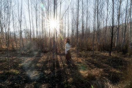 森林漫步|Photography|Landscape|AWPhoto80_Original作品-站酷ZCOOL