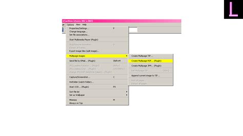 Image result for IrfanView PDF