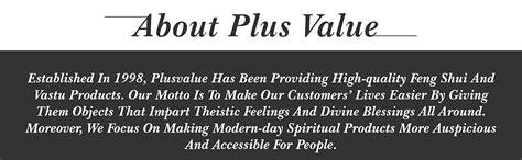 Buy Plus Value Copper Vastu Helix for South-East Vastu Dosh Nivaran ...