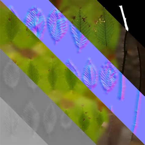 Anydrafts Fagus Leaves Textures Pack 3D Model - TurboSquid 2322698