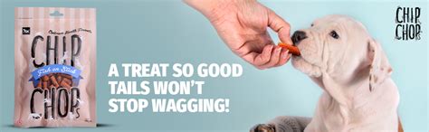 Buy Chip Chops Chip Chops Fish On Stick Dog Snacks, 70 g Pack of 2, 70 ...