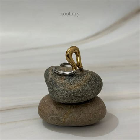 Rings – ZOOLLERY