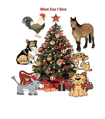 What Can I Give eBook : Gentry, Tookie, Gentry, Geoffrey S.: Amazon.in ...