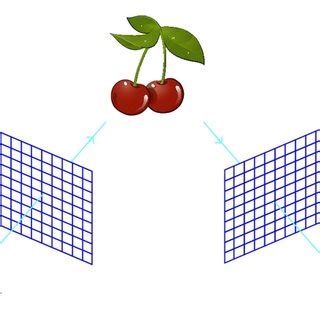 Structure Light Camera 的图像结果