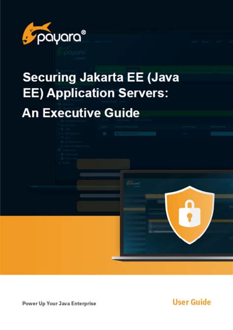 Java EE Application Server 的图像结果