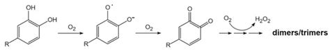 Changes in Browning Degree and Reducibility of Polyphenols during ...