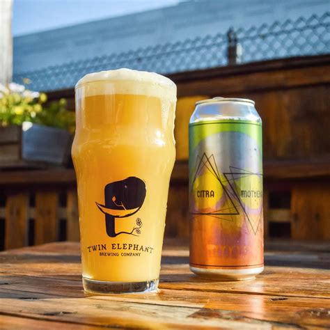 NOSH: CITRA & MOTUEKA | American DIPA | 8.3% – Twin Elephant Brewing ...