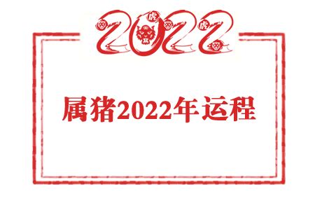 属猪人2022年运势及全年运程详解_生肖_吉运堂算命网