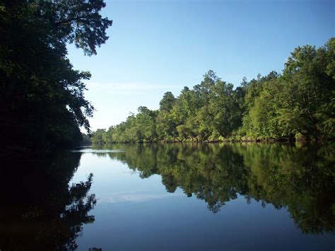 Tar River Otter: Tar River