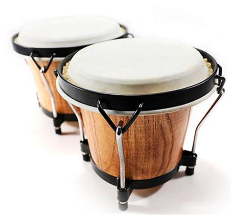 Image result for Basic Bongo