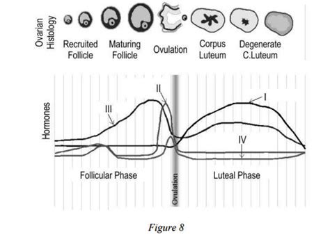ISC Class 12 Biology Specimen Paper 2024-25 Released