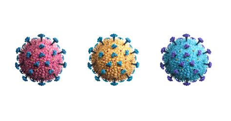 Image result for Variant Form