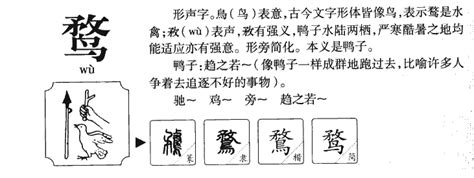 鹜字五行属什么，鹜字的含义是什么，鹜字取名的寓意（男孩，女孩）_第一起名网